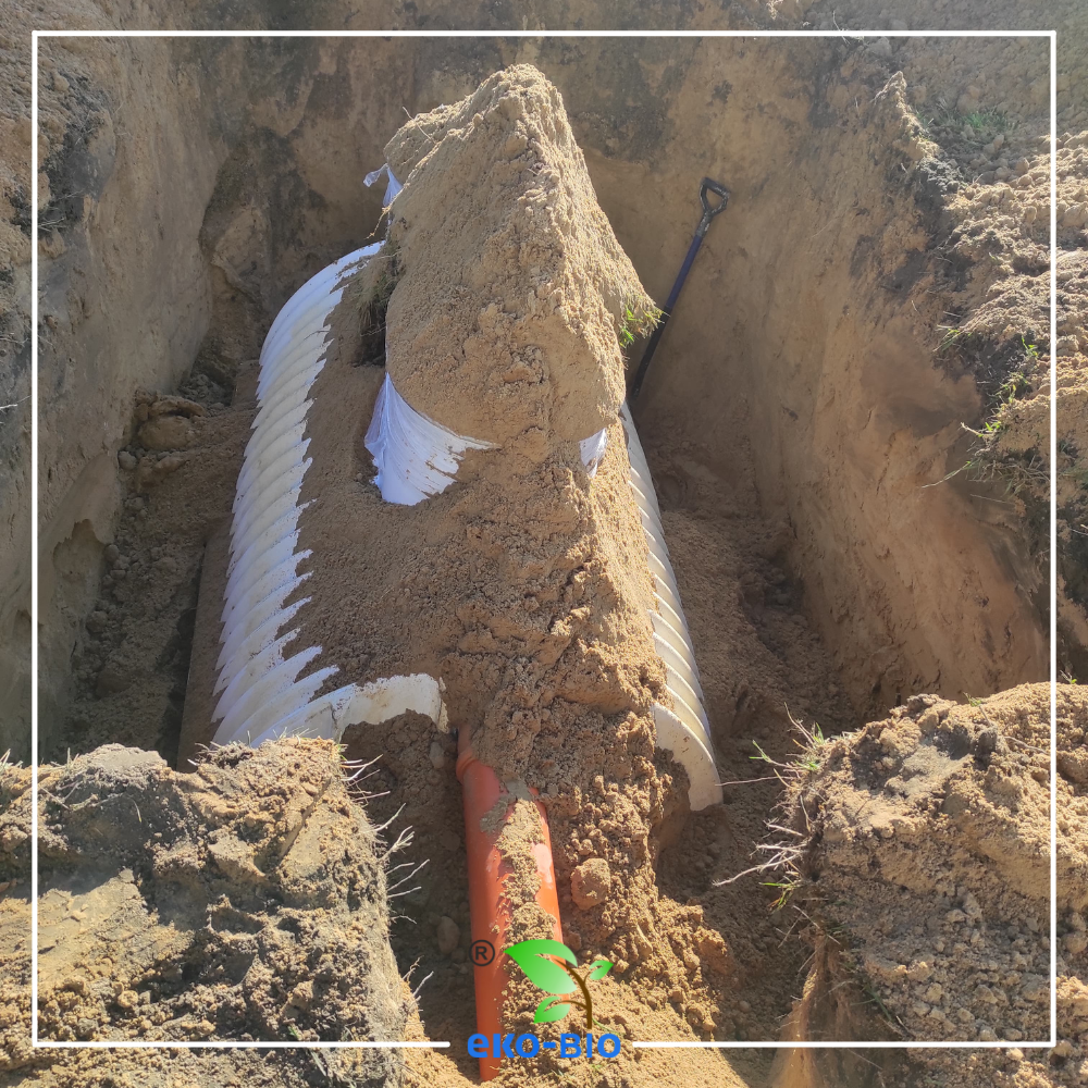 Gallery 2 Main Image