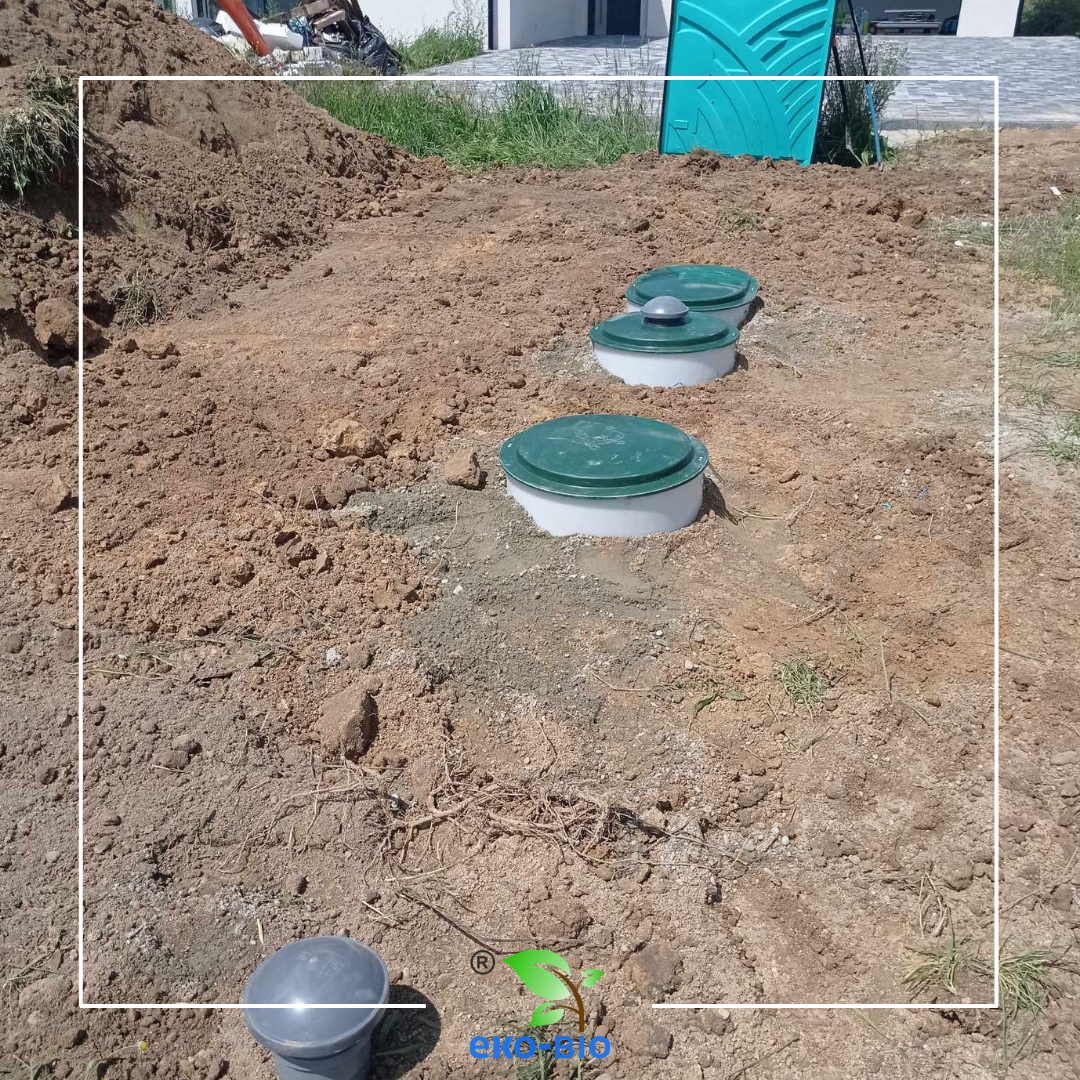 Gallery 2 Thumbnail 1