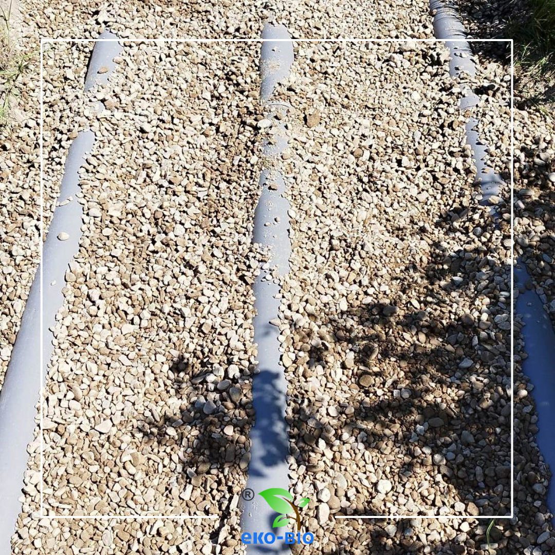 Gallery 1 Thumbnail 2