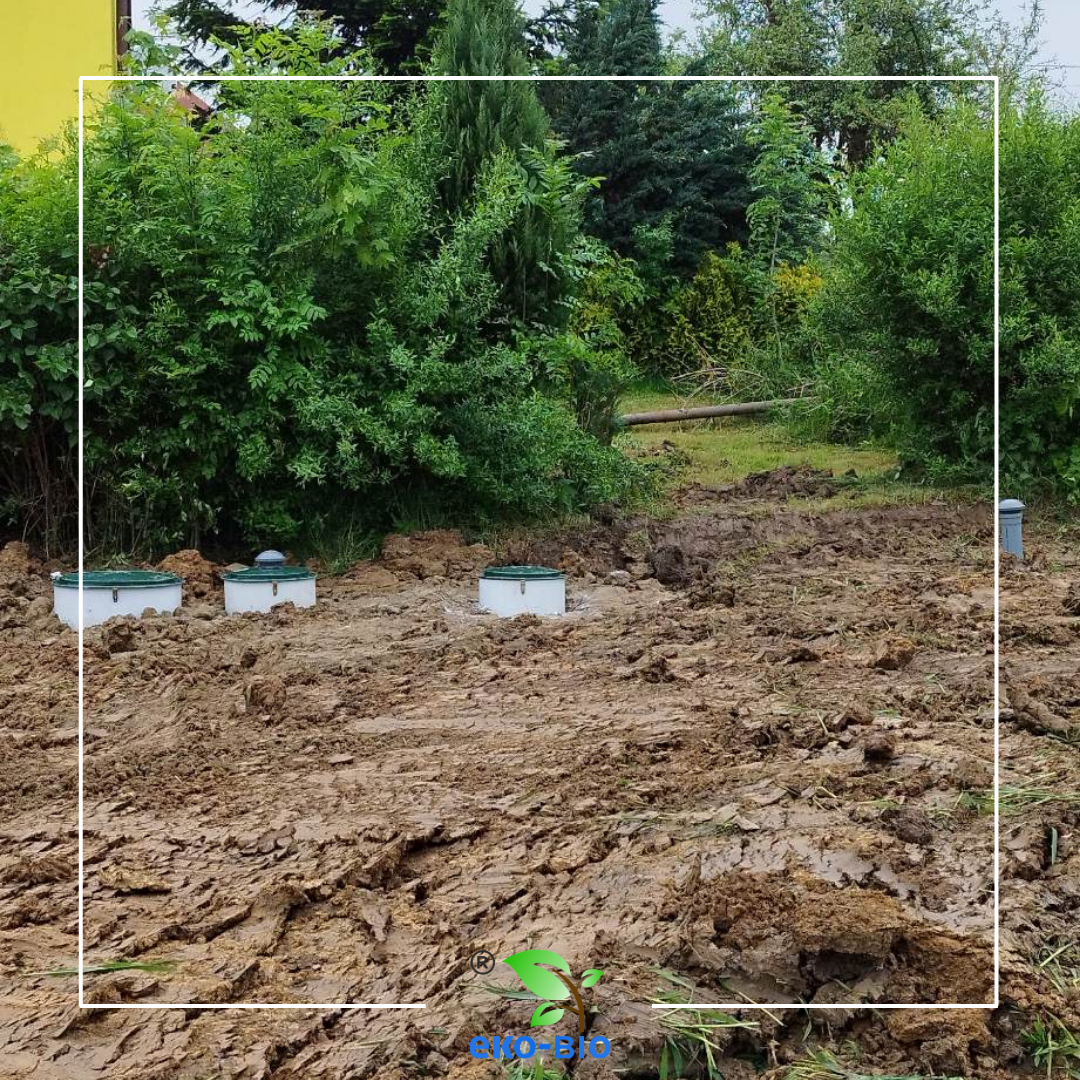 Gallery 2 Thumbnail 2