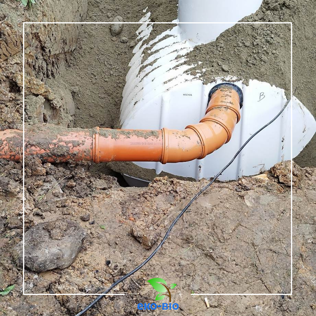 Gallery 2 Thumbnail 3