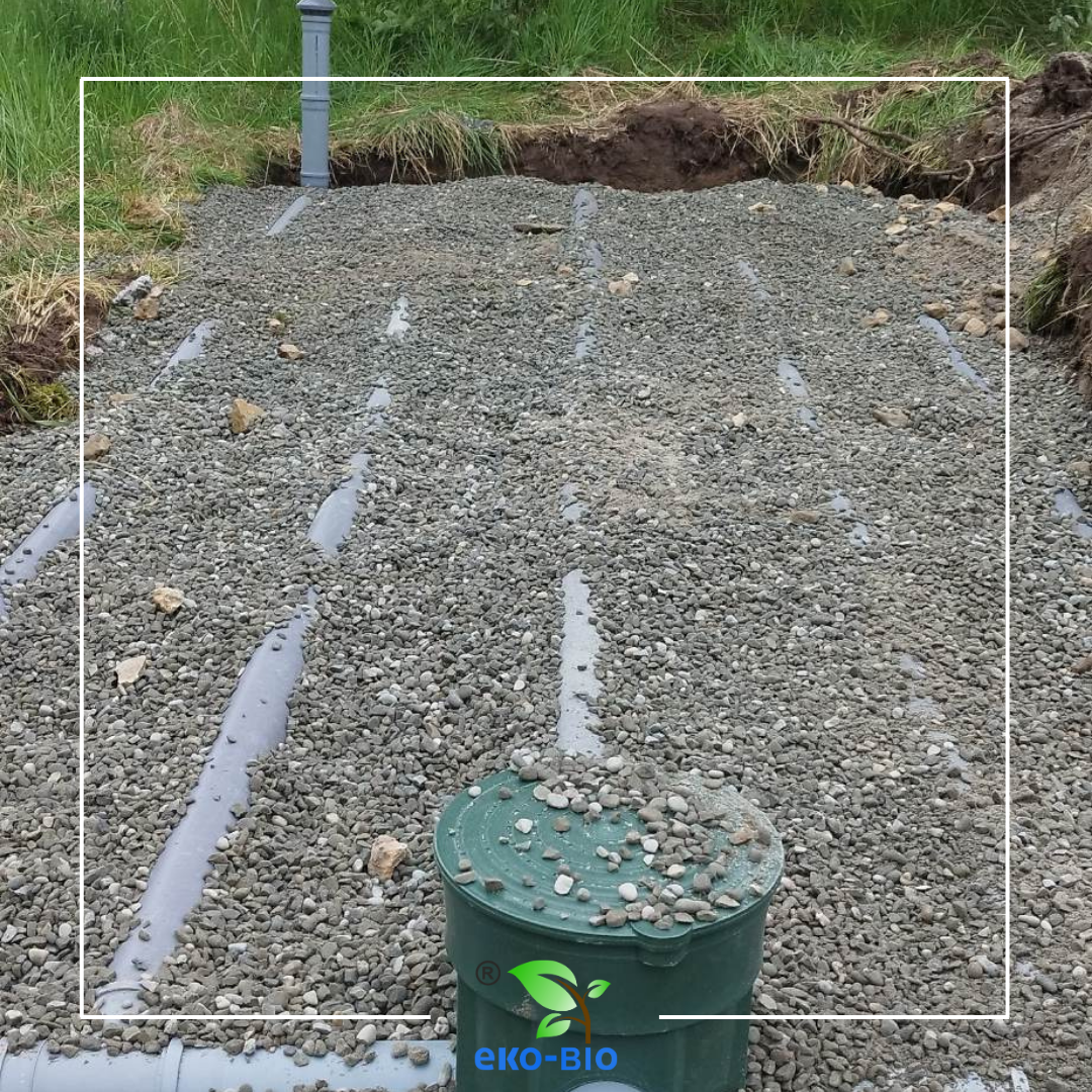 Gallery 1 Thumbnail 2